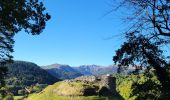 Tour Wandern Chambon-sur-Lac - Lac Cambon et Château de Murol - Photo 8