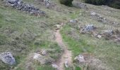 Trail Walking Wasserbourg - Tour du Petit Ballon et des fermes auberges - Photo 2