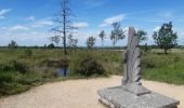 Trail Walking Spa - route des fontaines . pouhon delcor . monument RAF . croix pottier . tour rt ferme de berinzenne . arboretum  - Photo 8