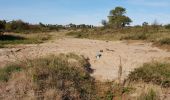 Tour Wandern Koksijde - Coxyde Randonnée schipgat plus variante perso - Photo 9