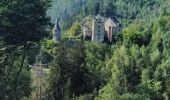 Tocht Stappen Waimes - CANI-RADO TOUR (boucle, château de reinhardstein à waimes) - Photo 3