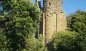 Tour Esel-Trekking Tuchan - cathare 3 Tuchan Duilhac sous peyrepertuse  - Photo 13