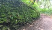 Trail Walking Theux - entre la ferme st Remacle et Hodbomont - Photo 9