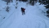 Randonnée Ski de randonnée Cervières - Crêtes de la lauze ou voyage dans les entrailles de terre rouge - Photo 4