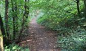 Tocht Stappen Raismes - Raidmes la marre à Goriaux et le terril - Photo 1