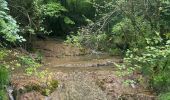 Trail Walking Saint-Laurent-en-Royans - Pont des Chartreux st Laurent en Royans  - Photo 10