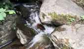 Randonnée Marche Yzeron - Izeron - Des cascades à la Madonne - Photo 13