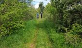 Trail Walking Chanac - Rando..Chanac..Causses de Sauveterre..16/05/2024 - Photo 19