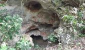 Excursión A pie Signes - Sioux Blanc,les bidoufles,le pas de Belgentier, les aiguilles et retour - Photo 8