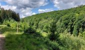 Tocht Stappen Beauraing - Froidfontaine 010522 - Photo 13