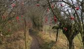 Tocht Stappen Waimes - ROBERTVILLE ... le tour du lac.  - Photo 8