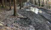 Percorso A piedi Sprimont - Boucle de Damré 8 Km  - Photo 1