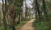 Trail Walking Grimaud - Grimaud - Sentier de la calade - Photo 15