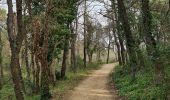 Tour Wandern Grimaud - Grimaud - Sentier de la calade - Photo 15