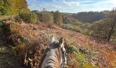 Trail Horseback riding Florenville - Les Epioux - Photo 8