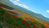 Trail On foot Norcia - Castelluccio di Norcia (SI)/Rifugio Capanna Ghezzi - Photo 8