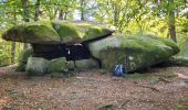 Randonnée Marche Saint-Brisson - Le Saut du Gouloux - Morvan - Photo 5