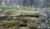 Randonnée Marche Theux - hodbomont . vieux cortil . jevoumont . hodbomont  - Photo 8