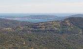 Randonnée Marche La Garde-Freinet - LA GARDE FREINET - PATRIMOINE DES MOULINS ET CHAPELLES - Photo 18