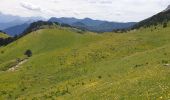 Randonnée Marche Châtillon-en-Diois - Vallon de Combau  - Photo 3