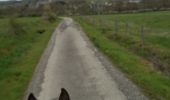 Trail Horseback riding Rochefort - départ navaugle vers serinchamps - Photo 1
