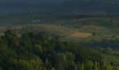 Percorso A piedi Certaldo - Dolce campagna, antiche mura 7 - Photo 4