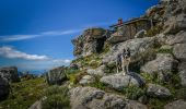 Trail Walking Carbuccia - Punta CACHJONI Carbuccia - Photo 7