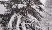 Percorso Sci alpinismo Vagney - haut du tot - Photo 3