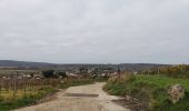 Tocht Stappen Nogent-l'Artaud - RP51-07 Nogent-l'Artaud à la Ferté-sous-Jouarre - Photo 2