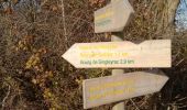 Tour Wandern Sadillac - Sadillac 18,5 km - Photo 3