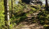 Tour Wandern Bouillon - Rochehaut - Frahan - Poupehan - les échelles - Rochehaut  - Photo 9