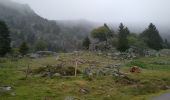 Tour Wandern Urbeis - Les deux lacs - Photo 13