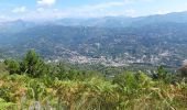 Excursión Bici de montaña Contes - mont macaron - Photo 4