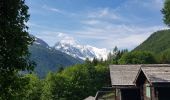 Excursión Senderismo Chamonix-Mont-Blanc - Montroc à Vallorcine  - Photo 16