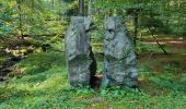 Trail Walking Wisches - Wisches - circuit 1 des sculptures - Photo 2