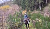 Trail Horseback riding Neufchâteau - Bois de la Fosse - Photo 10