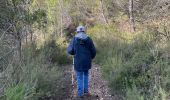 Tour Wandern La Roque-d'Anthéron - PF-La-Roque-d'Anthéron - La Chaîne des Côtes - Reco - Photo 5