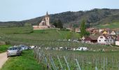 Tour Wandern Mittelweier - Mittelwihr - Beblenheim - Zellenberg - Hunawihr  - Riquewihr -  Nécropole de Sigolsheim - Photo 12