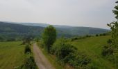 Tour Wandern Manhay - 2021-06-30_10h29m50_Cirkwi-BOIS_DE_HARRE_(Commune_de_MANHAY) - Photo 5