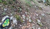 Trail Walking Penne-d'Agenais - La randonnée de Penne d'agenais- Lot et Garonne  - Photo 8