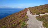 Tour Wandern Crozon - Cap de la Chèvre - Pointe de Dinan Plage de Goulien - 26.4km 600m 7h50 (40mn) - 2019 09 08 - Photo 5