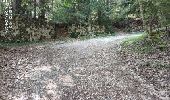 Randonnée Marche Annecy - A la découverte des Chalets de Barbenoire - Photo 13