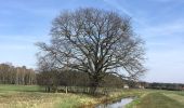 Tour Zu Fuß Rietschen - Wanderweg Rietschener Teichgebiet - Photo 5