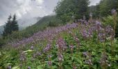 Randonnée Marche Les Contamines-Montjoie - Refuge de Tré la tête et Mauvais Pas 5.7.22 - Photo 1