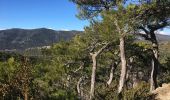 Percorso Marcia Saint-Guilhem-le-Désert - Saint-Guilhem-le-Désert / Roc de la Jarre / Ermitage ND de Belle Grâce - Photo 10