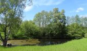 Percorso A piedi Neustadt an der Orla - Durch Wälder Fluren Dörfer des Buntsandsteingebietes - Photo 4