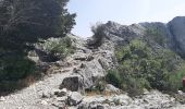 Tour Wandern Plan-d'Aups-Sainte-Baume - Hostellerie de la Ste Baume / Pas de L'AÏ / Le paradis / Col de St Pilon  16 juin 2022 - Photo 13