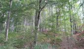 Trail On foot Liebenau - Ersen - E1 - Photo 2