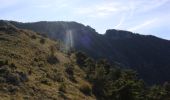 Trail On foot La Brigue - Cime de Marta - Photo 1