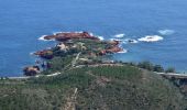 Tour Wandern Saint-Raphaël - Pk Col de Belle Barbe - Ravin Mal Infernet - Pic du Cap Roux - Grotte Saint Honorat - Ravin des Lentisques - Photo 3